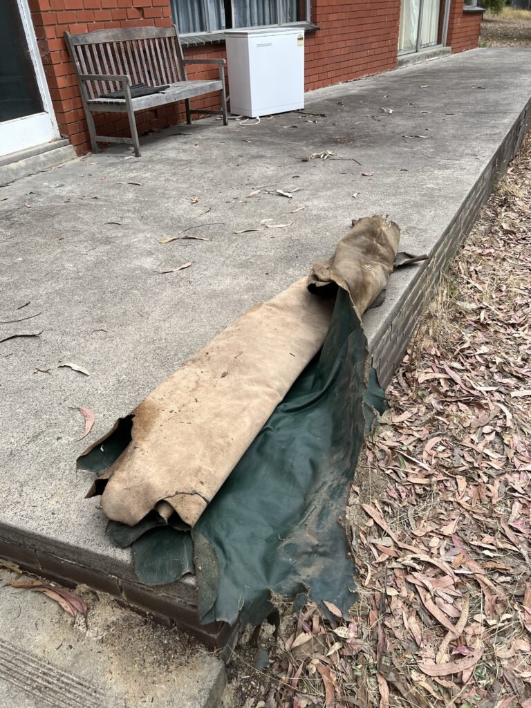 Roll of leather hides to be used for upholstery