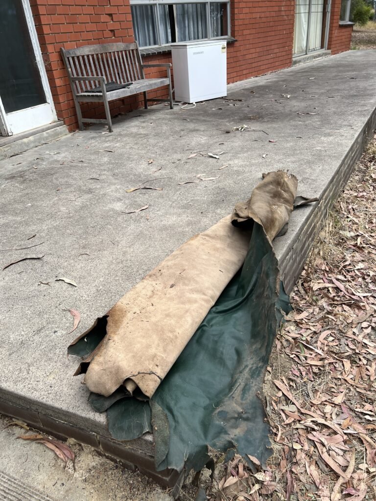 Roll of leather hides to be used for upholstery