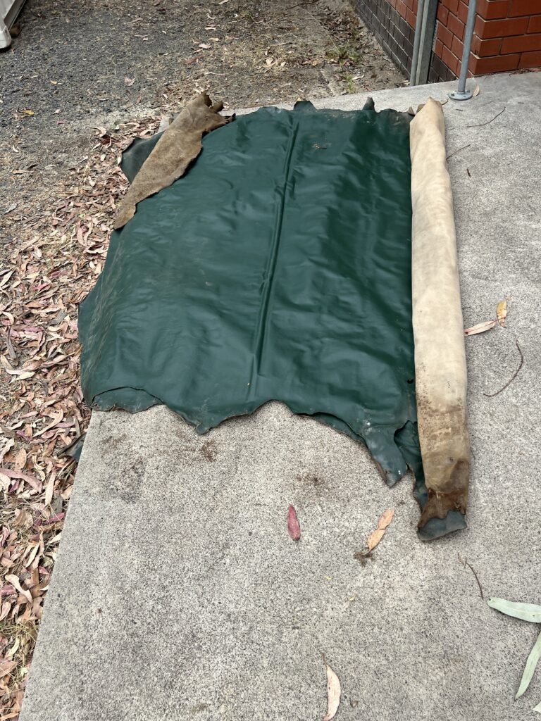 Roll of leather hides to be used for upholstery